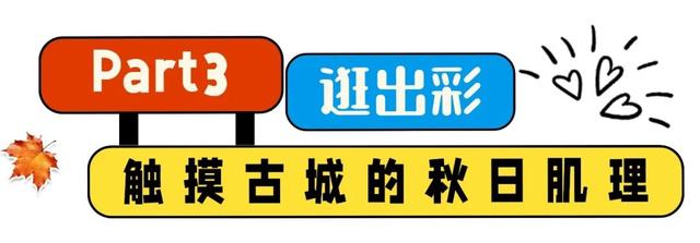 中国旅游百强县&抖音推荐！潍坊“超出彩”的宝藏小城→青州！