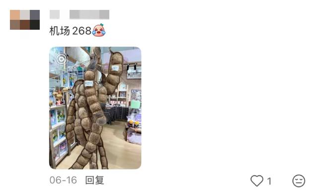 这可能是我买过的最离谱的特产：