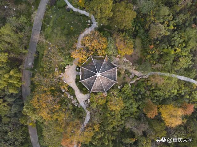 重大限定皮肤上新,超出片!🤳