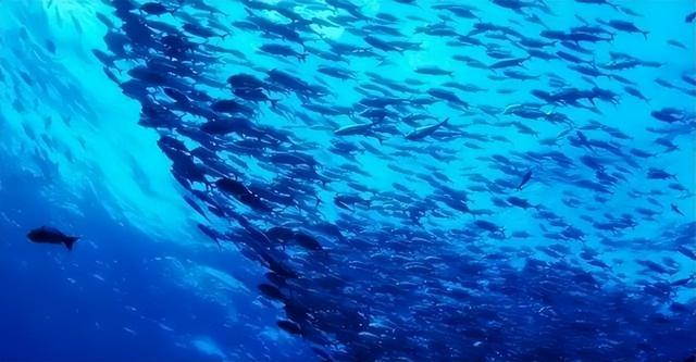 一年赚大陆游客14亿！转投美澳后竟拒接中国航班，该国现状如何？