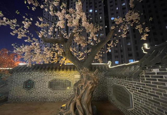 阜新五星级酒店温泉，二十个池子两个泳池，夜场竟然只要58元