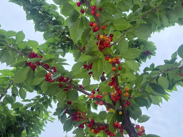 风景如画的远安印象