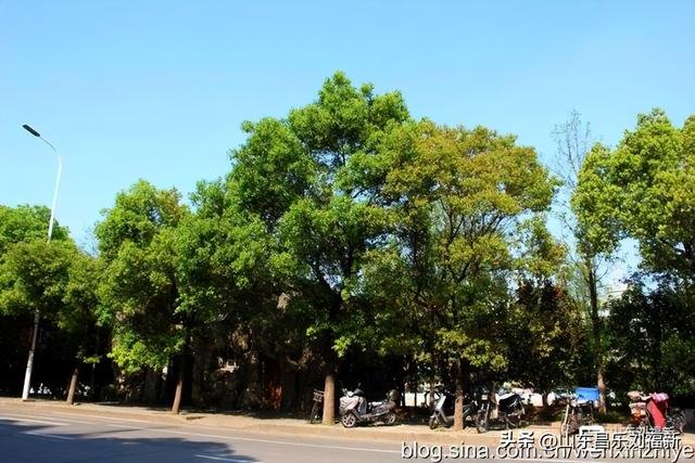 胜利路—民德路—新洲路（江西之旅第廿四篇）