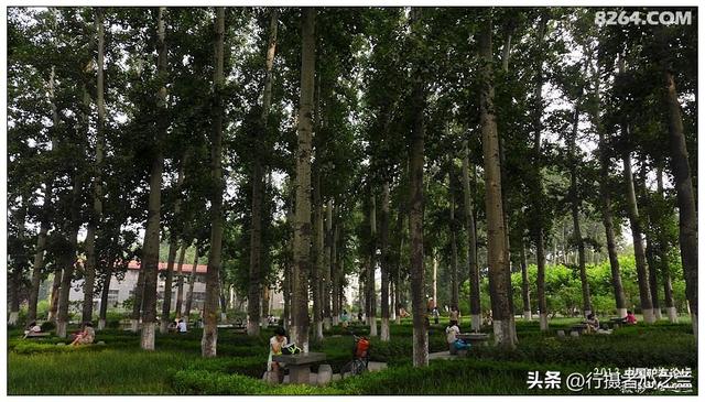 山东行游影记（16）—济南山东大学（三）