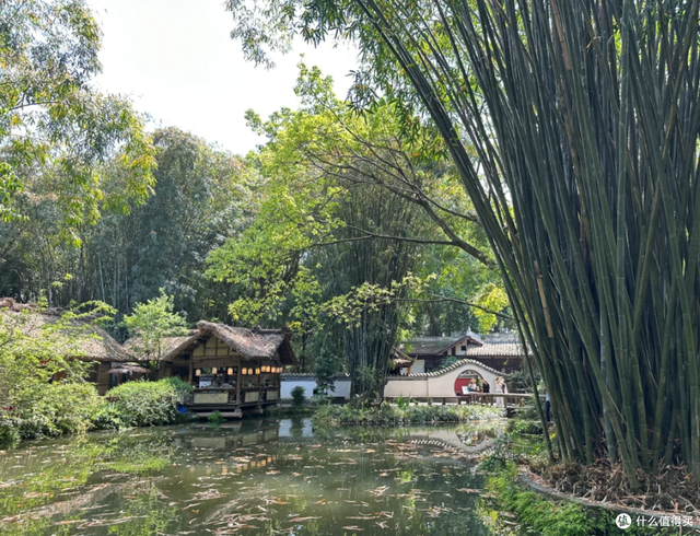 成都6天5晚吃住行玩避坑全攻略