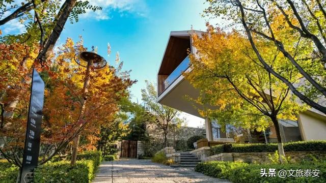 来泰安看“齐鲁超赛”!岱岳游玩双沉浸!绿茵热血碰撞山野诗意→