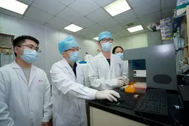 大蒜立大功？研究发现：大蒜可在48小时清除60%肠道有害菌？图片