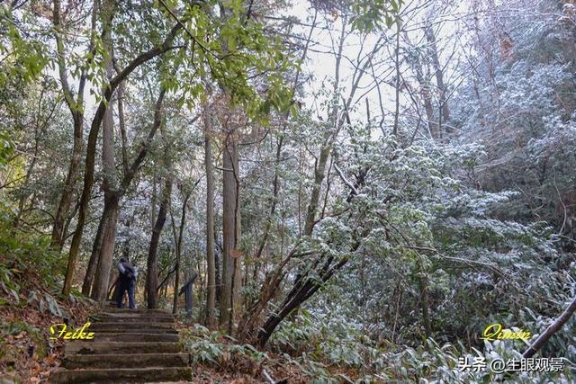 影记 | 衢州钱江源国家森林公园