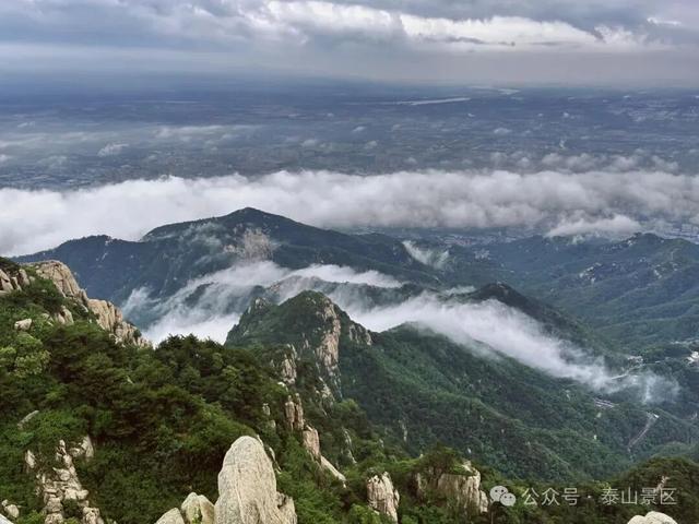 我想离开浪浪山，去看看泰山的四季轮转！