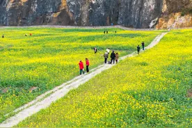 修复废弃矿山 巴南区多出一片“花海”！图片