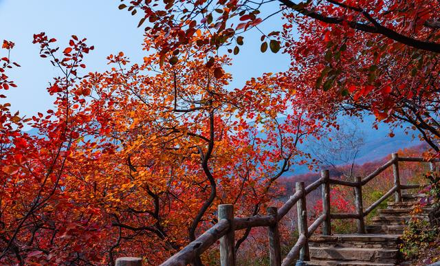 立冬将至，“白天立冬冻死牛，晚上立冬暖烘烘”，今年立冬在哪？