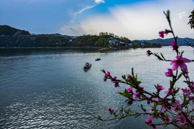 两性关系：人到晚年，如有异性靠近，不是桃花开，是你心里开了光