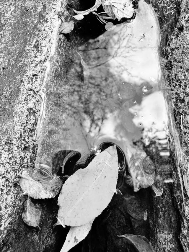 去捕捉秋的痕迹，一键点亮贵清山遮阳山景区的秋天！