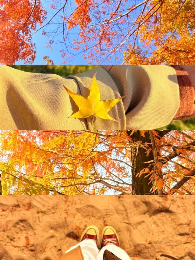 西安周末好去处——初冬8处宝藏公园免费又好玩！