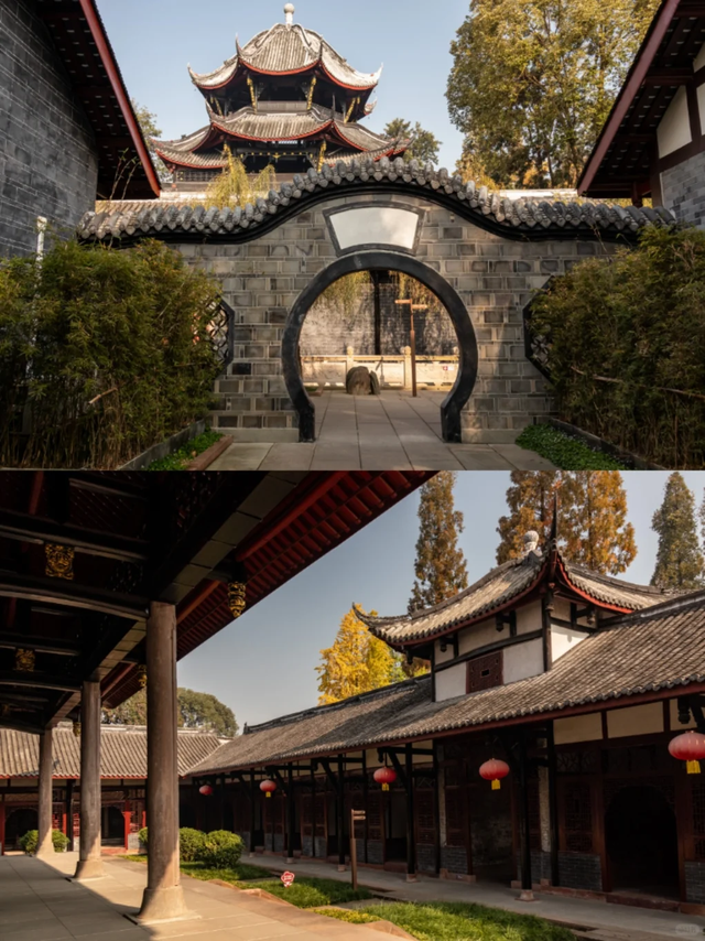 成都地铁10号线直达的小众银杏观赏地，自助美味斋饭好吃到爆！