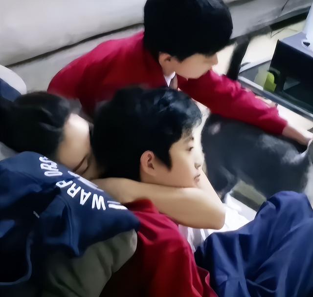 谢霆锋没想到，已备好寿衣和遗照的张柏芝，揭开了王菲仅剩的体面