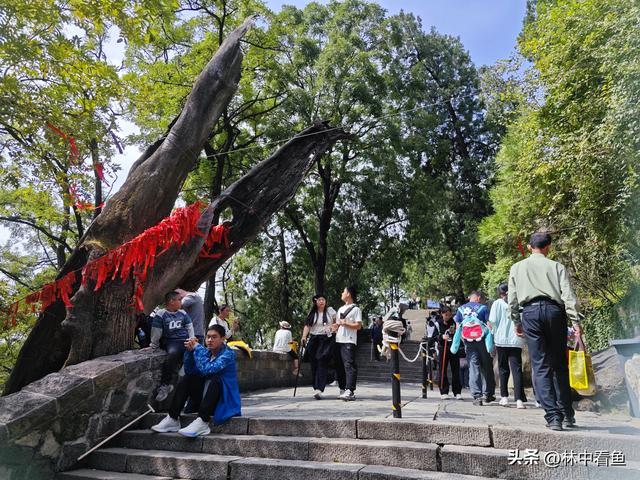 徒步登泰山之二——又是3小时，从中天门到南天门，不累！