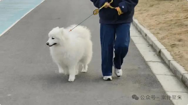 “史上最严”！最高拘10天罚1000元，1月1日起正式实施，网友：希望张贴到每个小区