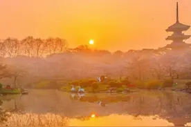 与任何人相处一定要记住这29条人性忠告；尤其是第9条图片