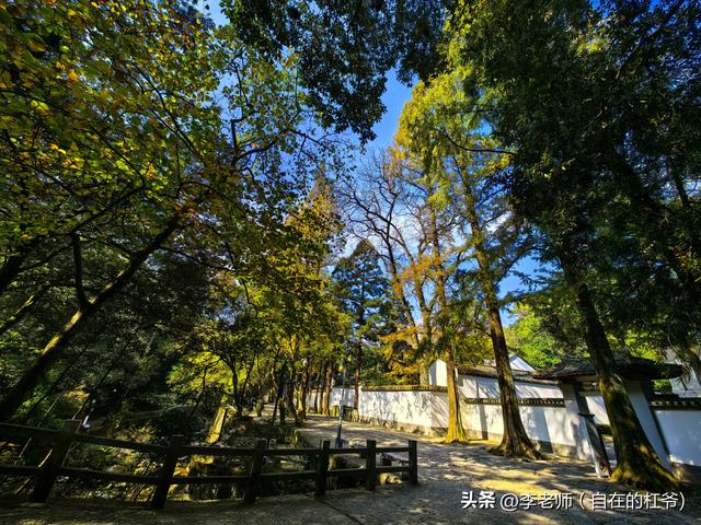 鄂湘赣自驾游记之八：九江——江湖遗韵处，文脉共潮生