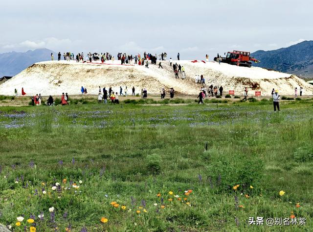 花145元自驾新疆赛里木湖，值吗？附环湖自驾攻略及游玩重点（5）