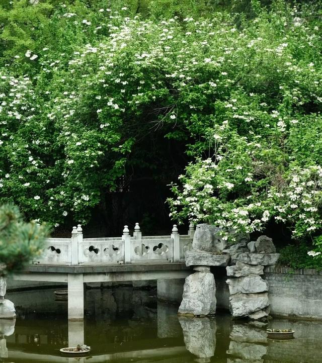 别再挤瘦西湖啦，扬州这7个小众景点可太好逛了