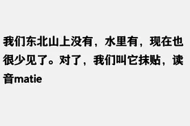 山蚂蝗到底有多恐怖？网友分享看完，终于明白发配岭南的恐惧感图片