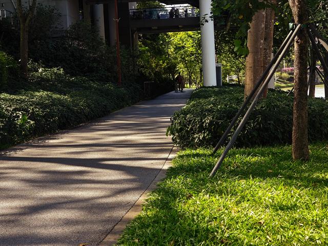 从学苑大道入大沙河绿过大学城后进深圳弯公园流花山景点【高清】