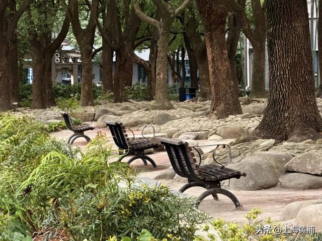 紧临外滩、豫园！居民游客都来打卡这片24小时不打烊的“森空间”：实在太美了！