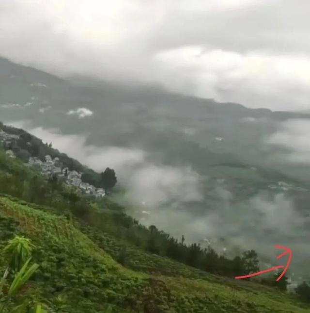 野人孩子父母正被调查是否违法