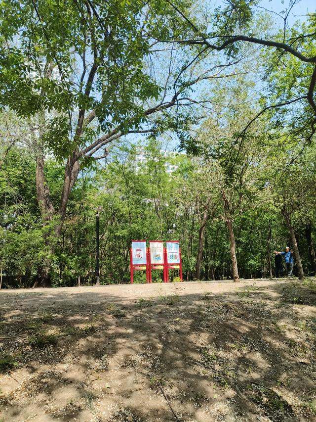 天津《复兴河公园》