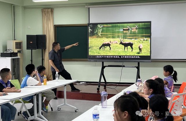 “赏国宝麋鹿·游皇家猎苑”夏秋游研学活动迎来了首批京外游客