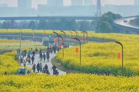 成都绕城绿道复耕是个笑话？恐怕要给说这话的人狠狠上一课图片
