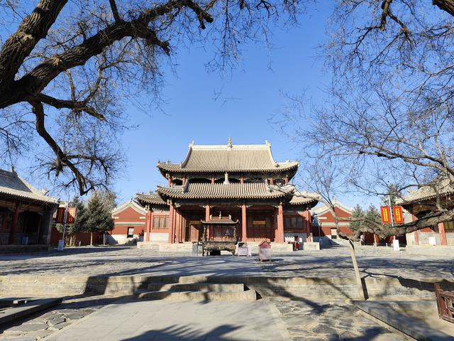 打卡[玫瑰]内蒙古锡林郭勒盟