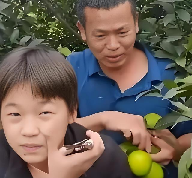 人民日报锐评全红婵捐赠直播收入，释放3大信号	，郭晶晶说对了