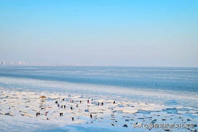惊艳!秦皇岛海冰迎来最佳观赏期,限定美景别错过!