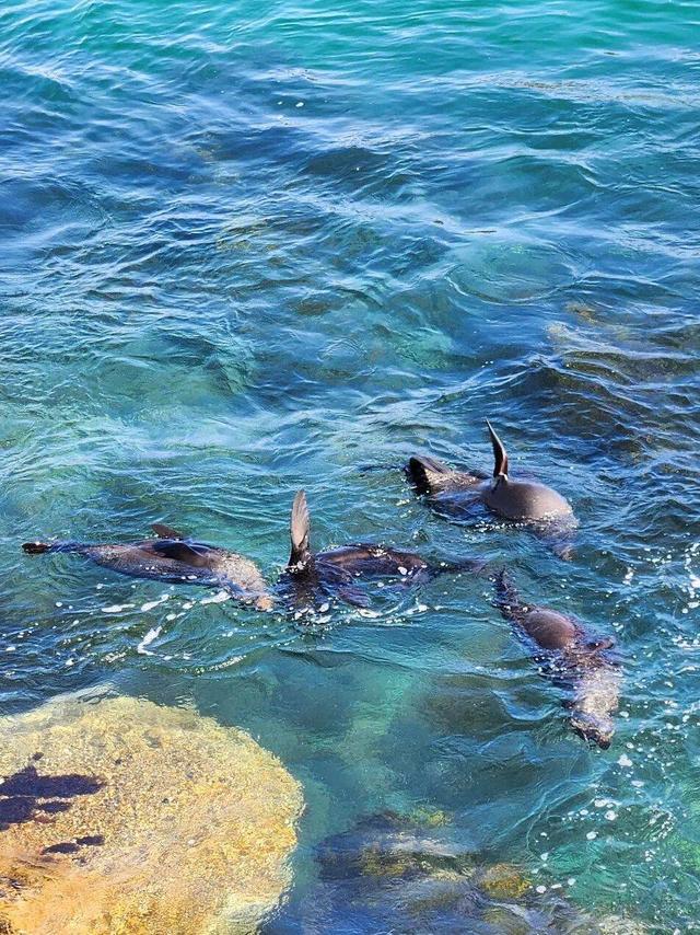 【散文】李后强：澳洲游记