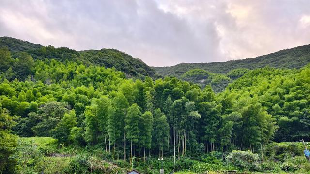 皖浙摩旅二人转——桐庐石舍村篇
