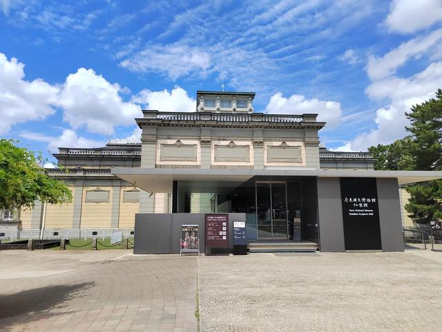 因为鹿，我爱上了奈良