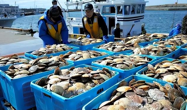 禁令生效，中方对日称呼已变，日右翼开始反水，枪口对准高市早苗