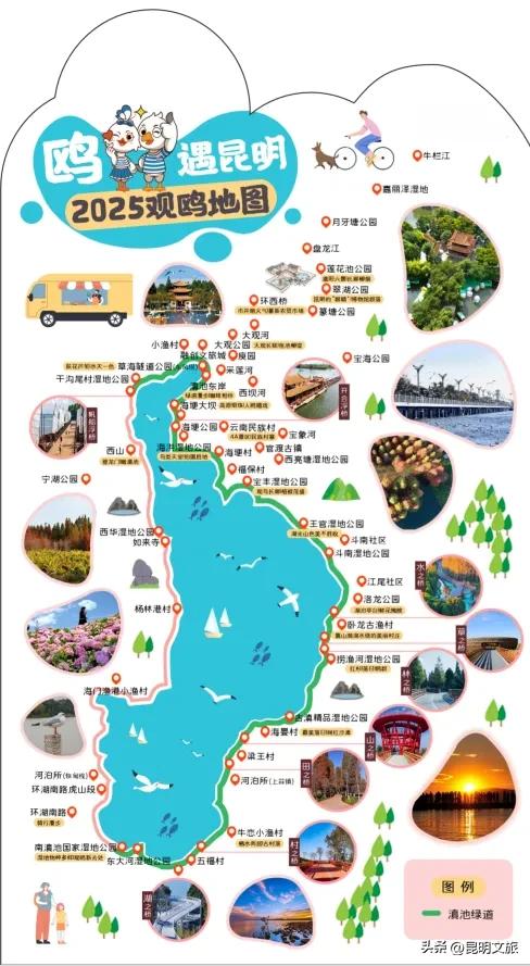 昆明人私藏观鸥地图+观杏!滴滴6折立减35元打车券直接薅