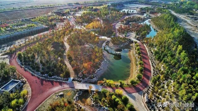 银川这五年丨文旅蝶变万象新