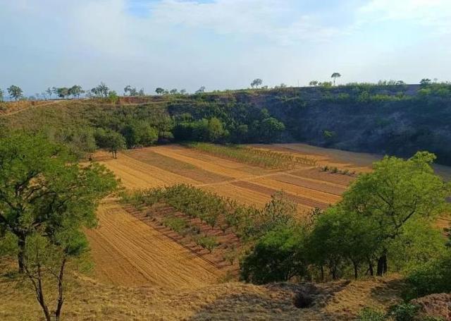 清峪河，流淌在关中“白菜心”的历史之河、文化之河