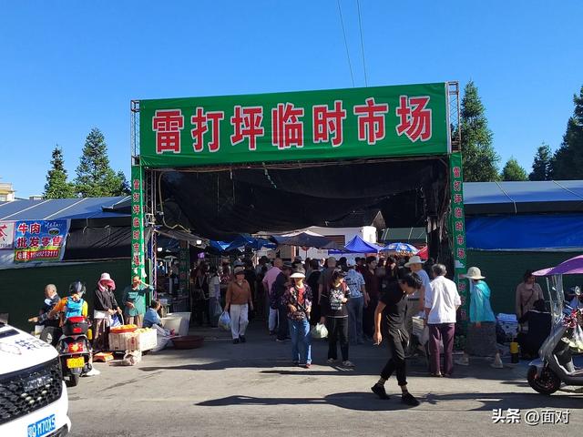 利川避暑山庄苏马荡树林下人们活动剪辑 老人安享晚年 小孩亲近自然
