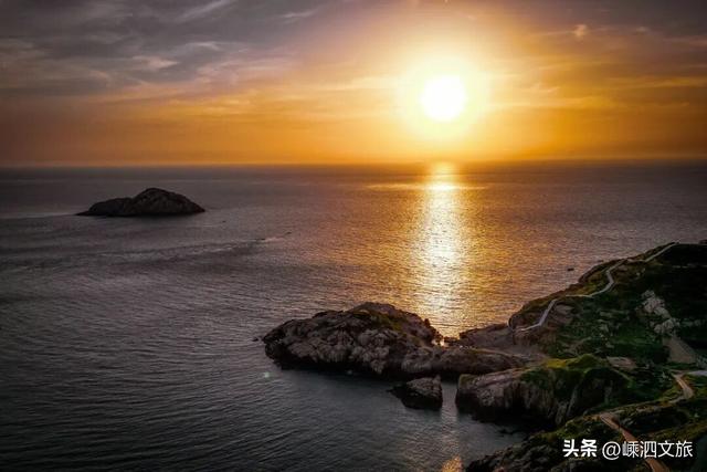 冬日寡淡？NO！看，花鸟岛的缤纷藏不住啦！