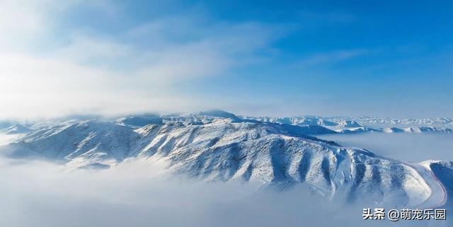 新疆雪山之巅俯瞰，云海翻滚如仙境，当地人说出惊人秘密