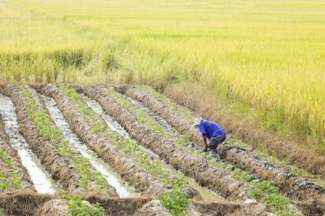 我给嫂子送孩子衣服，她刚出浴围着浴巾，红着脸让我进去喝水