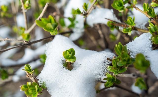 “不怕立冬阴一天	，就怕立冬一天晴”，今日立冬，天晴有啥预兆？
