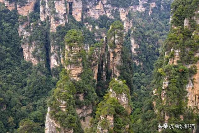 镜头中的山水：寻梦张家界 醉心山水间