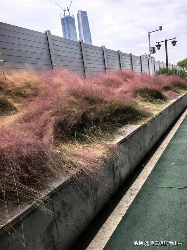 环长江(内环)骑行观光的路线与趣味:一江秋光连天际，满城烟火…